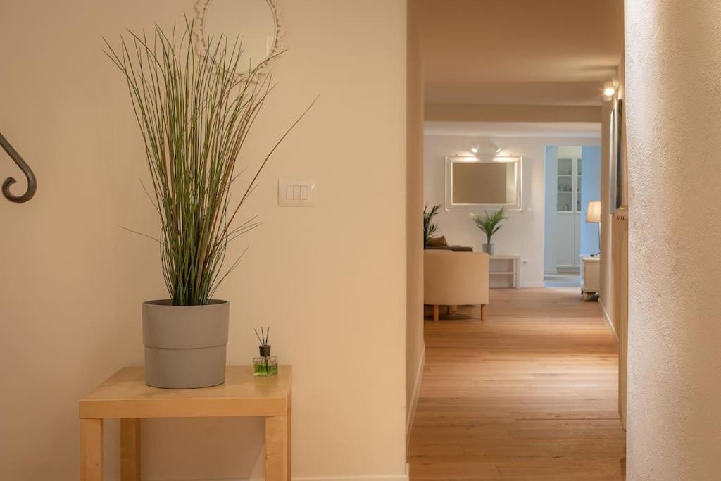Borgo Pinti'S Duplex Apartment Φλωρεντία Εξωτερικό φωτογραφία